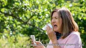 Warning over 'hidden pollen trap' that could be making your hay fever worse during heatwave