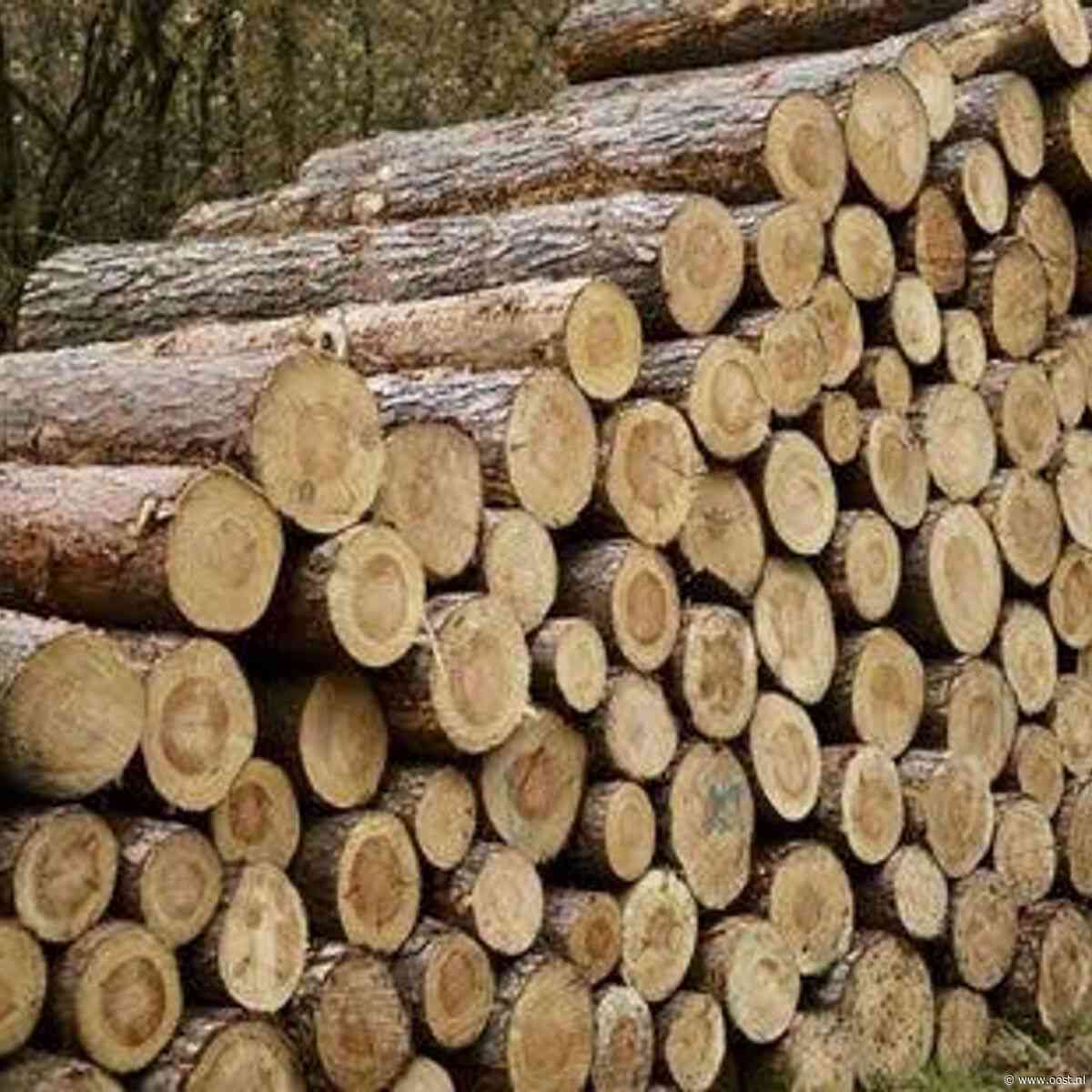 Faillissement houthandel vol dubieuze details, maar ondernemers ontspringen dans