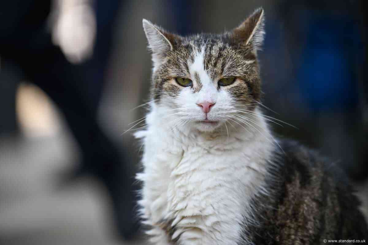 Will Larry the cat be staying at 10 Downing Street when Starmer moves out?