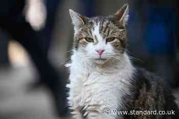 Will Larry the cat be staying at 10 Downing Street when Starmer moves out?