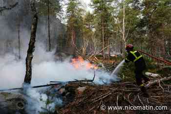 Incendie de Fontainebleau : un pompier volontaire reconnaît avoir « mis le feu à des brindilles », six autres personnes en garde à vue