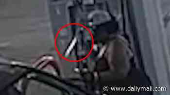 Madwoman, 43, filmed leaving trail of destruction after carjacking truck at gas station