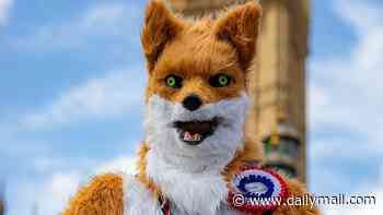 Nigel Farage's 'farce' by-election dealt fresh blow as animal rights candidate dressed as a fox pulls out over claims the contest has become a 'circus' he wants no part in