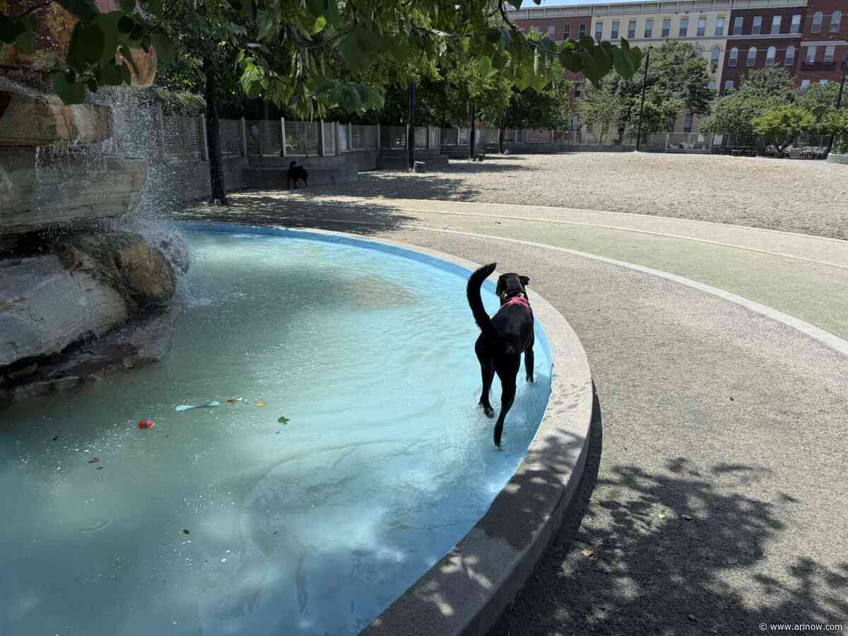 WEATHER ALERT: Heat Advisory issued for Arlington and D.C. area