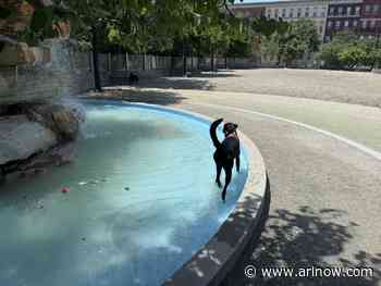 WEATHER ALERT: Heat Advisory issued for Arlington and D.C. area