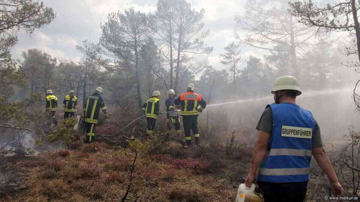 Waldbrandgefahr steigt auf Stufe 4: „Wer das nicht beachtet, ist verantwortungslos“
