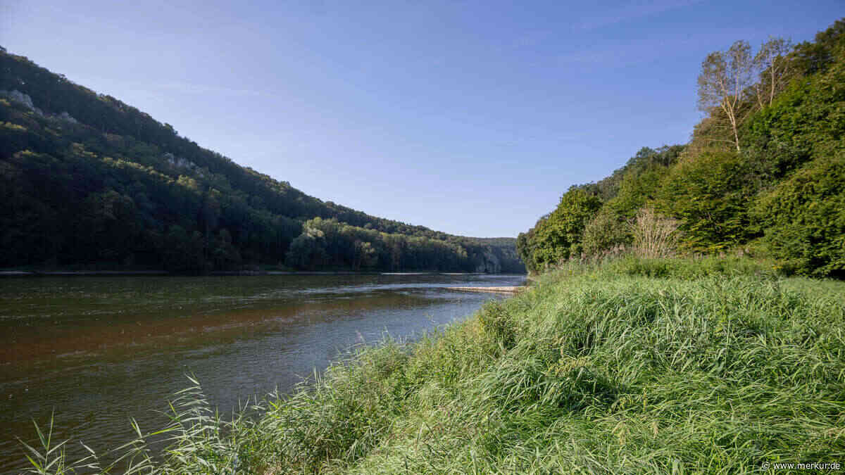 Hund stirbt nach Bad in der Donau – deutliche Warnung: „auch für den Menschen gefährlich“