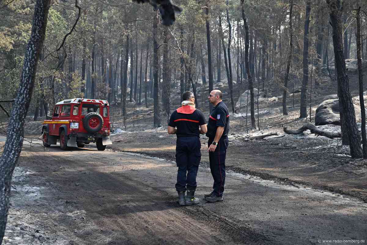 Feuerwehrmann gesteht Mitschuld an Waldbrand bei Paris