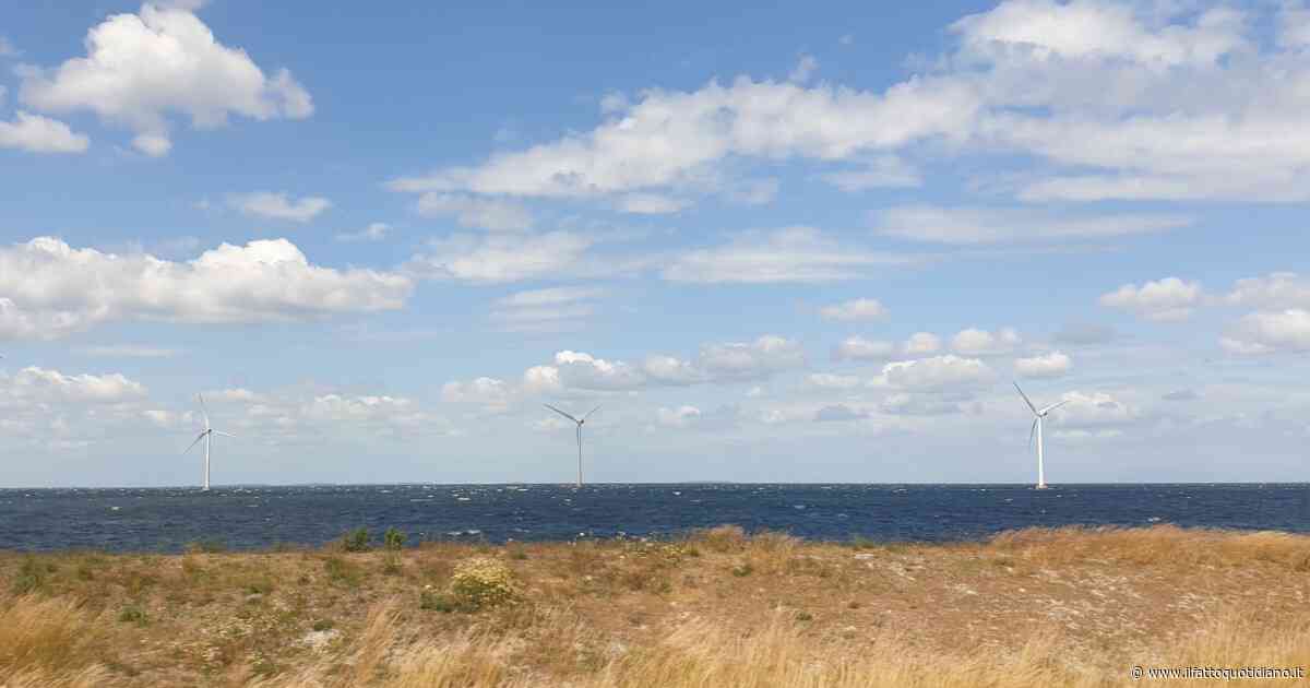 La Danimarca abolisce il ministero dell’Agricoltura: così rovescia la prospettiva