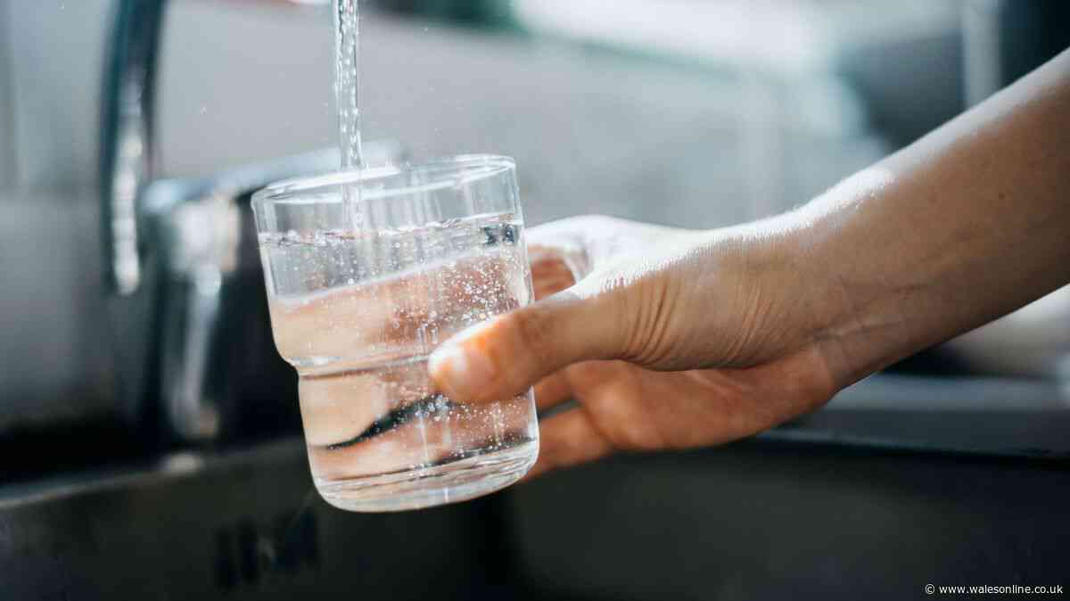 Welsh Water will 'consider all options' to protect supplies with 3 areas worst affected