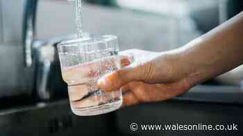 Welsh Water will 'consider all options' to protect supplies with 3 areas worst affected
