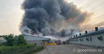 20K hogs dead as crews battle massive barn fire south of London, Ont.