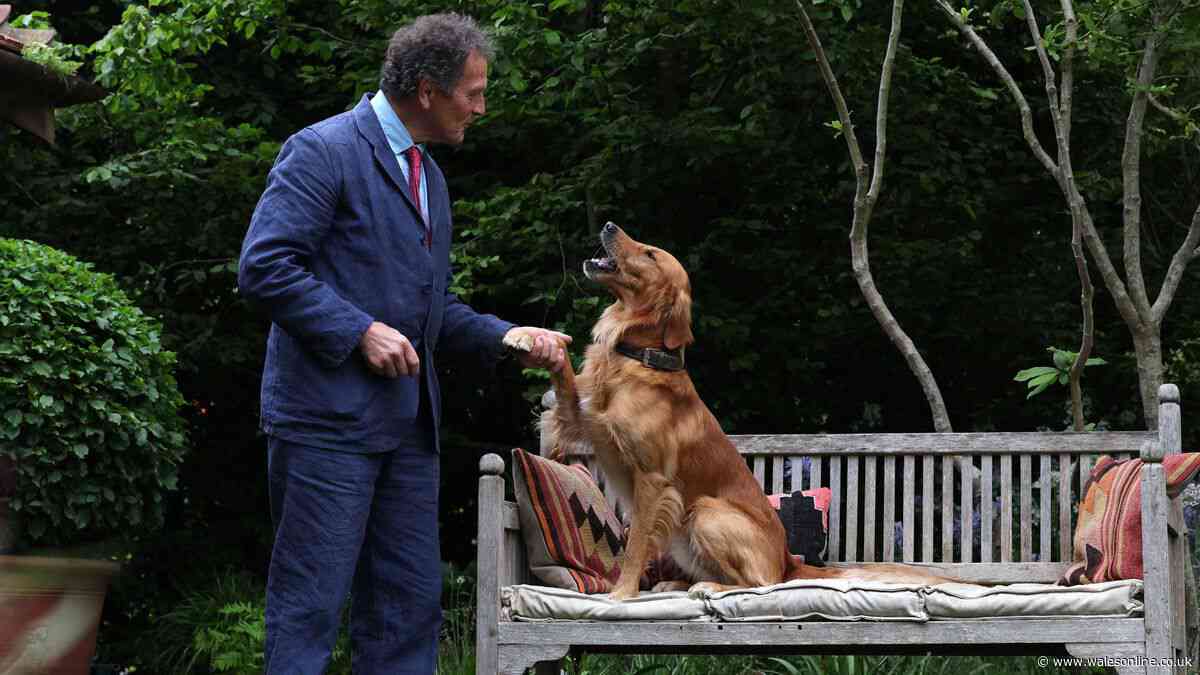 Monty Don issues update on dog Ned as UK heatwave rages on