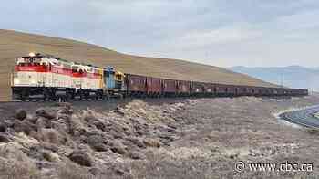 U.S. company believes it can provide rail service between Squamish and 100 Mile House as CN pulls out