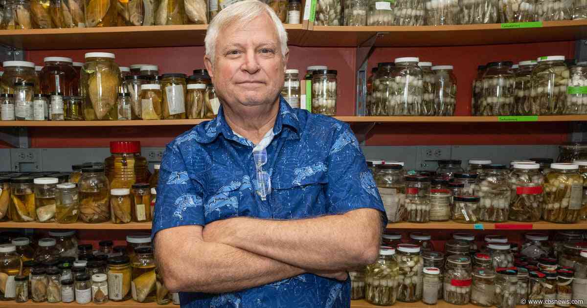 U.S. marine biologist shot dead in the Philippines, companion injured