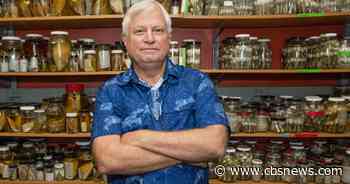 U.S. marine biologist shot dead in the Philippines, companion injured