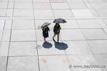 People with cardiovascular conditions at risk in heat: Heart and Stroke Foundation