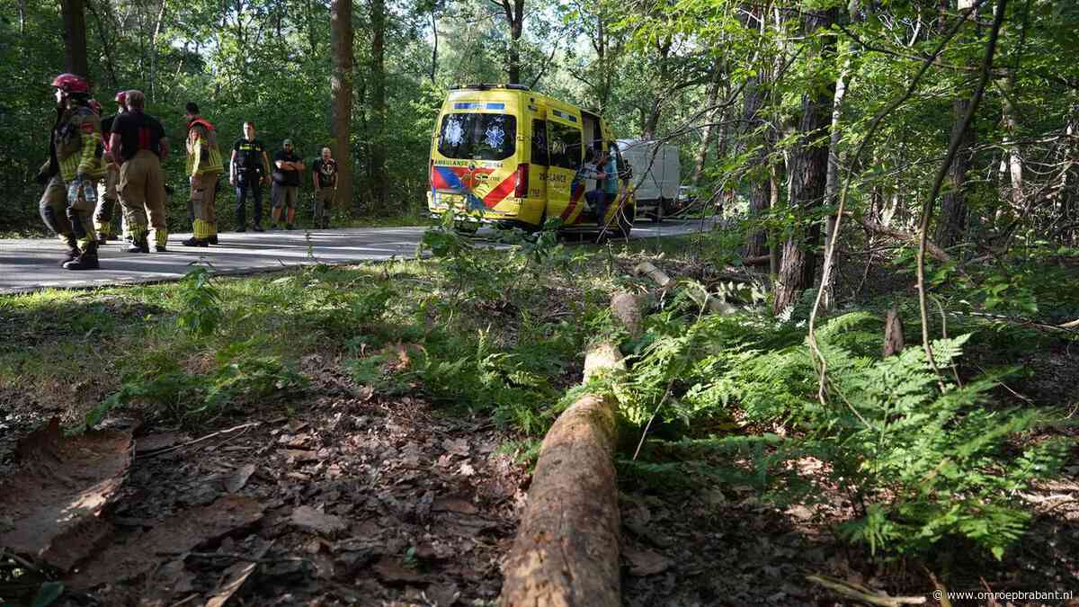 78-jarige wielrenner gewond nadat rotte boom op hem valt in Alphen
