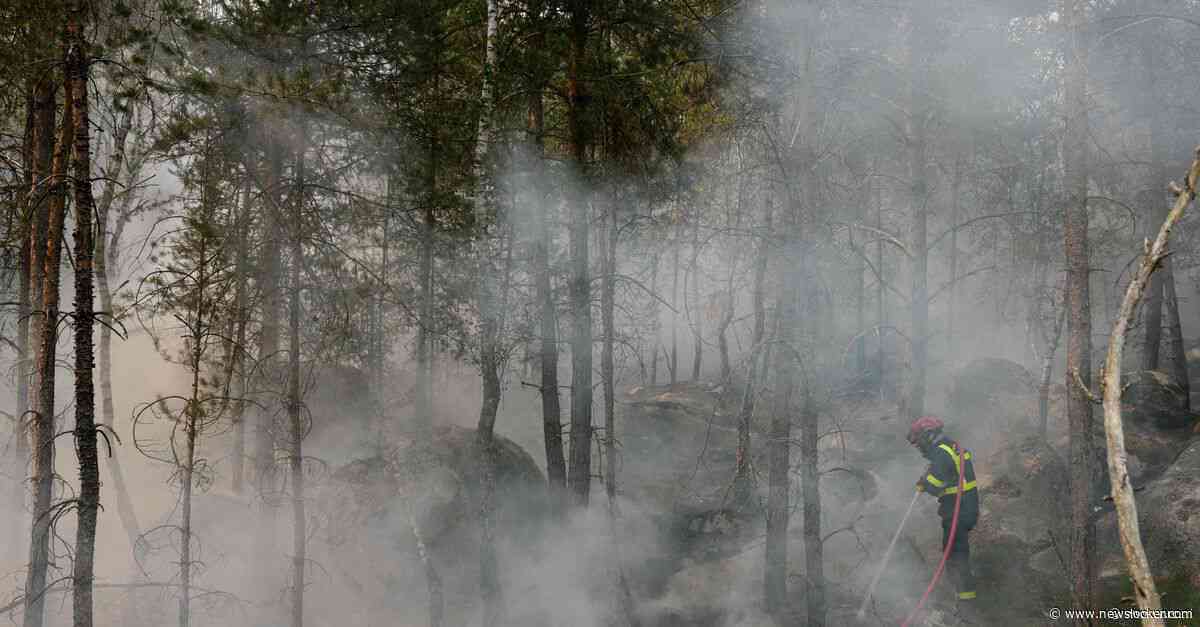 Natuurbrand nabij Parijs verwoestte al meer dan 2.000 hectare bos, zes mensen opgepakt op verdenking van brandstichting
