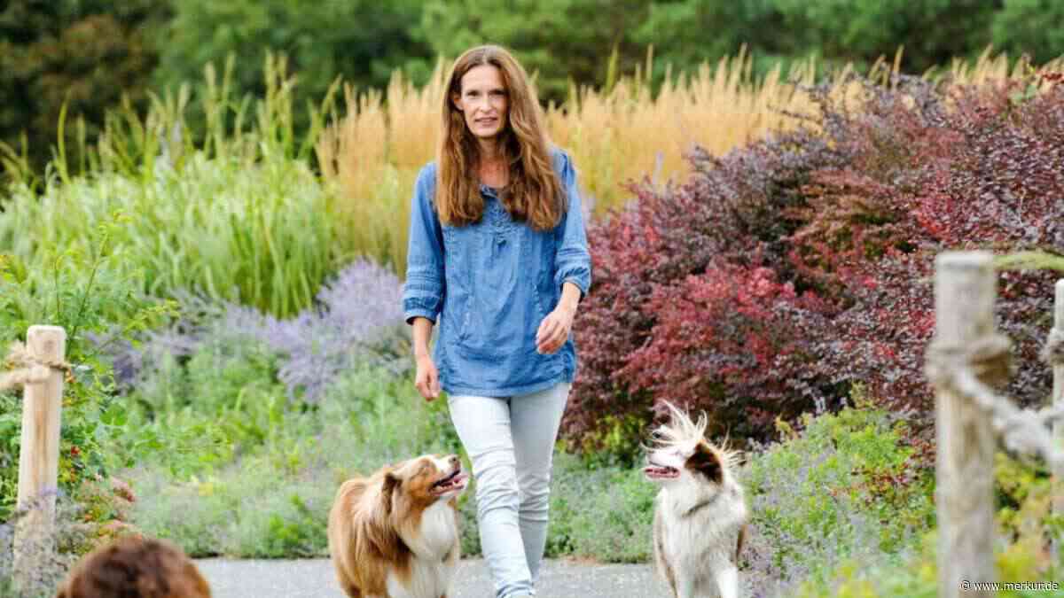 Warum ich als Hundehalterin nie ohne diese 8 Drogeriemarkt-Produkte nach Hause gehe