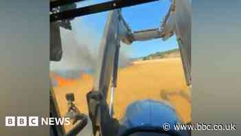 Teenagers arrested over suspected field arson