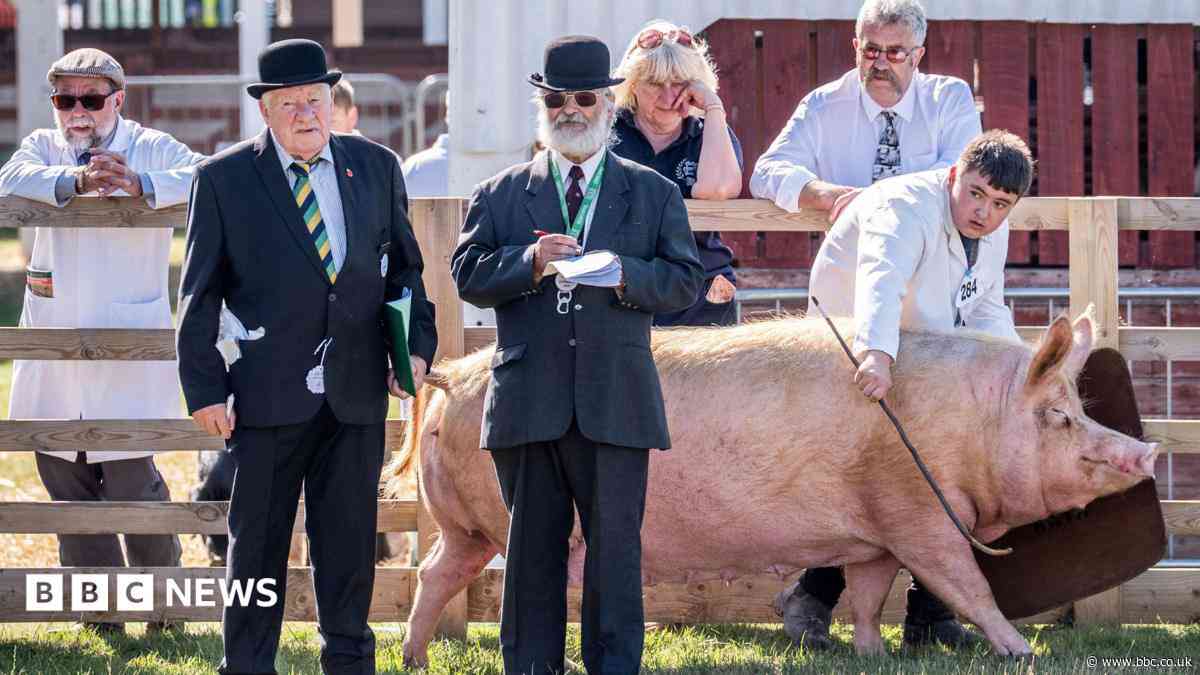 All you need to know about the Great Yorkshire Show 2026