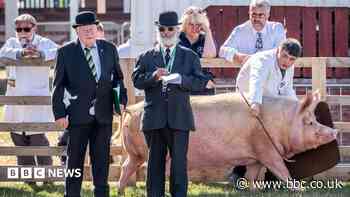 All you need to know about the Great Yorkshire Show 2026