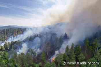 Wildfires prompt air quality warning for region
