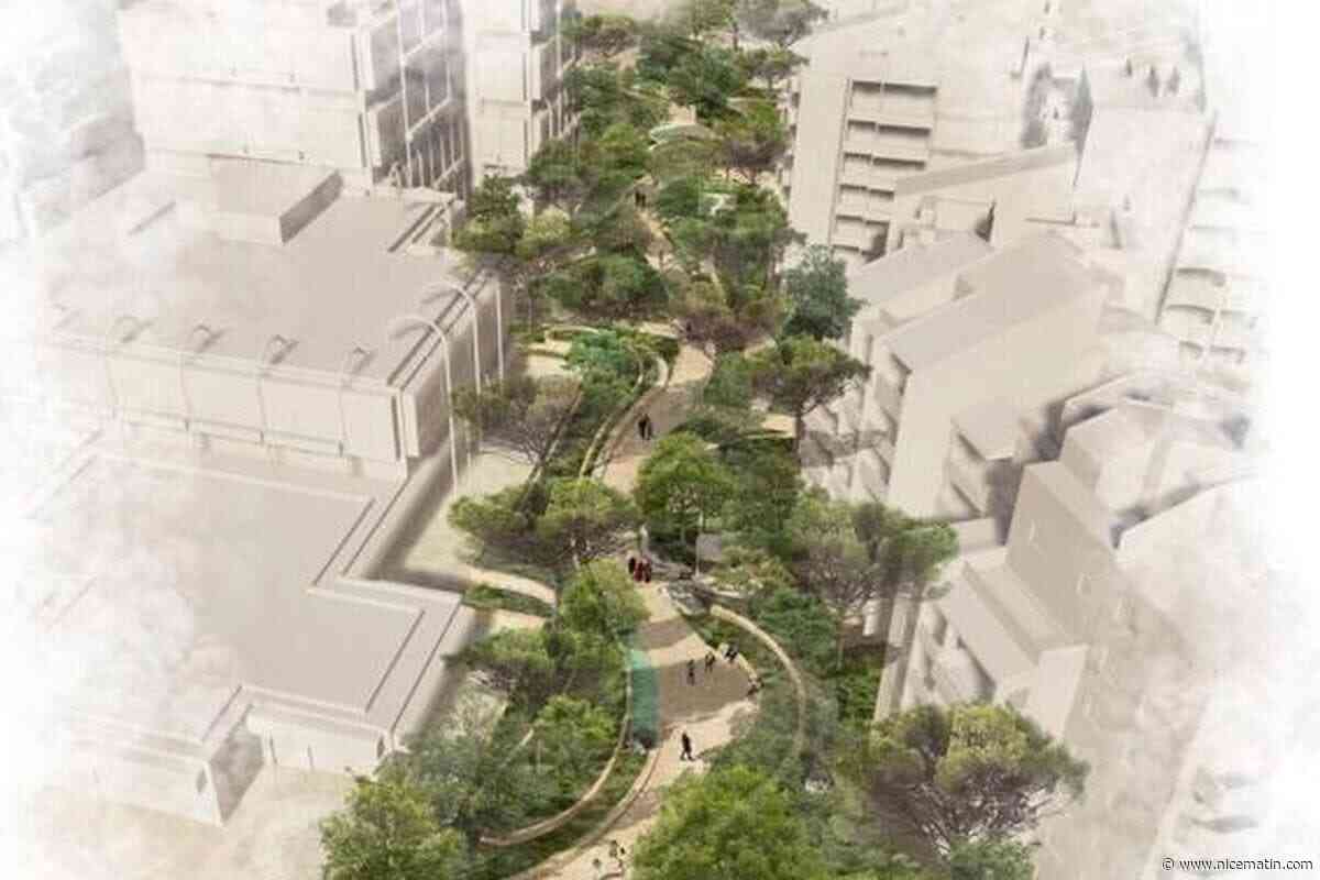 Espaces verts à profusion, quartiers reconnectés, îlots de fraîcheur : le gouvernement dévoile une vidéo du Monaco de demain… transfiguré