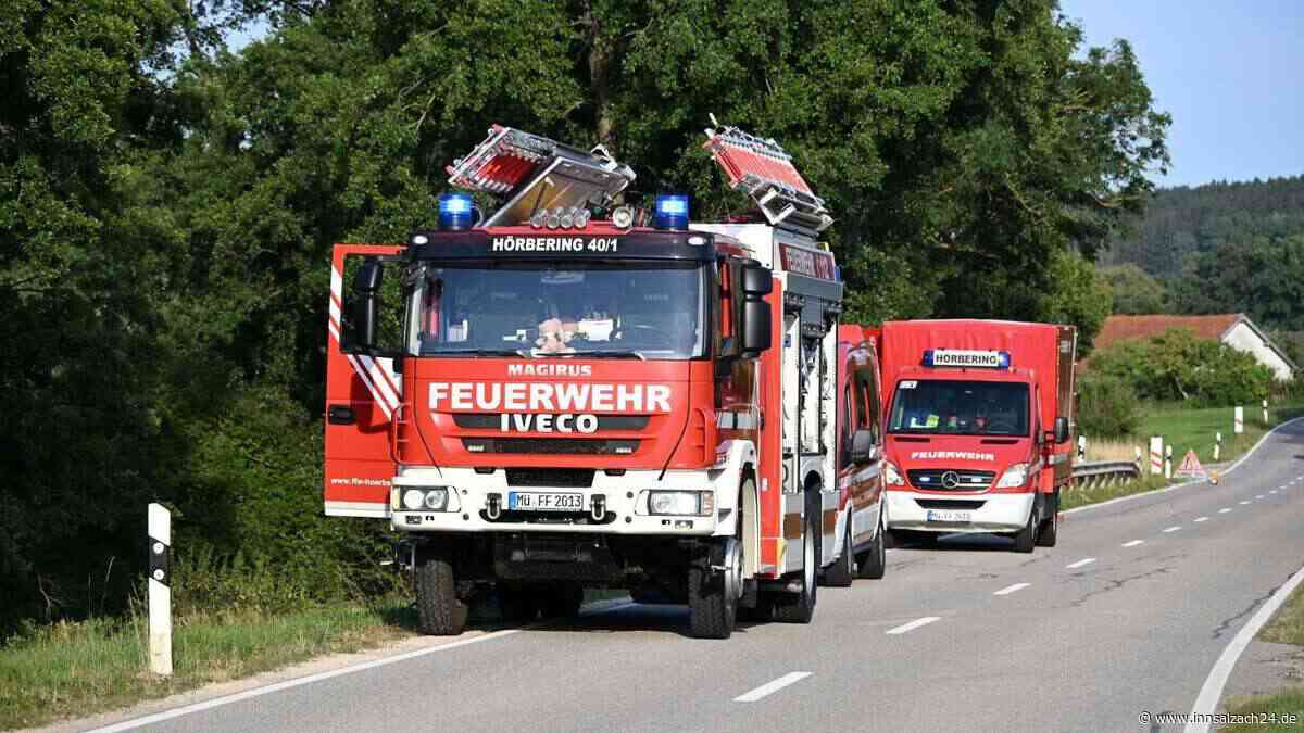 Tierischer Einsatz bei Neumarkt-St. Veit: Pferd steckt in Bach fest
