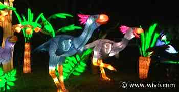 Buffalo Zoo’s Zoomagination Lantern Festival canceled