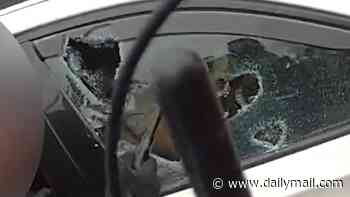 Moment armed police smash windows of BMW and pull out gang members before seizing swords and a loaded handgun