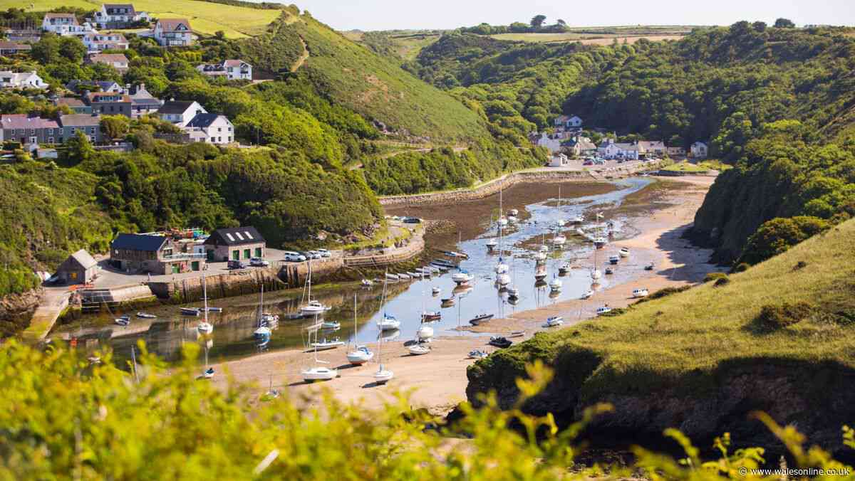 One of the UK's prettiest villages has a harbour, independent shops and incredible seafood