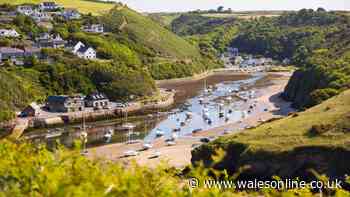 One of the UK's prettiest villages has a harbour, independent shops and incredible seafood