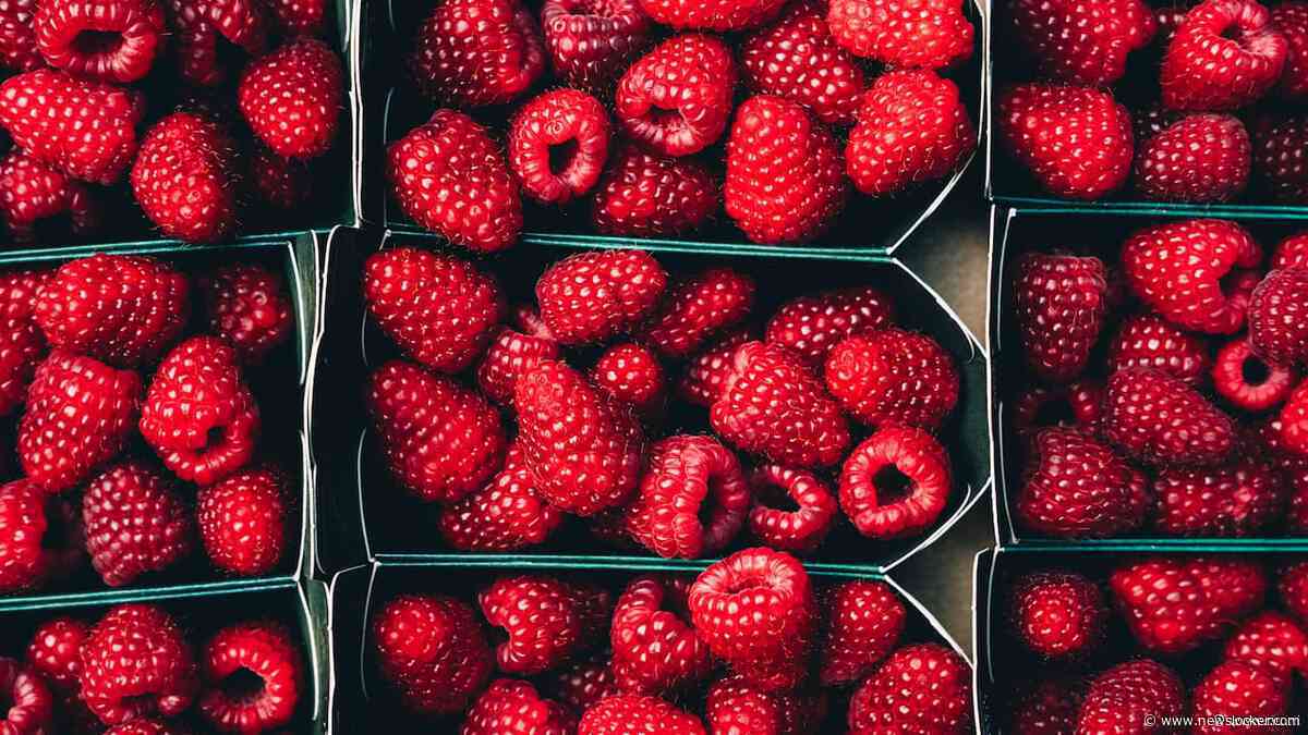 Explosieve diarree-uitbraak in VS is een mysterie voor experts