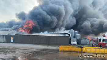 At least 20,000 hogs killed in Simcoe, Ont., barn fire