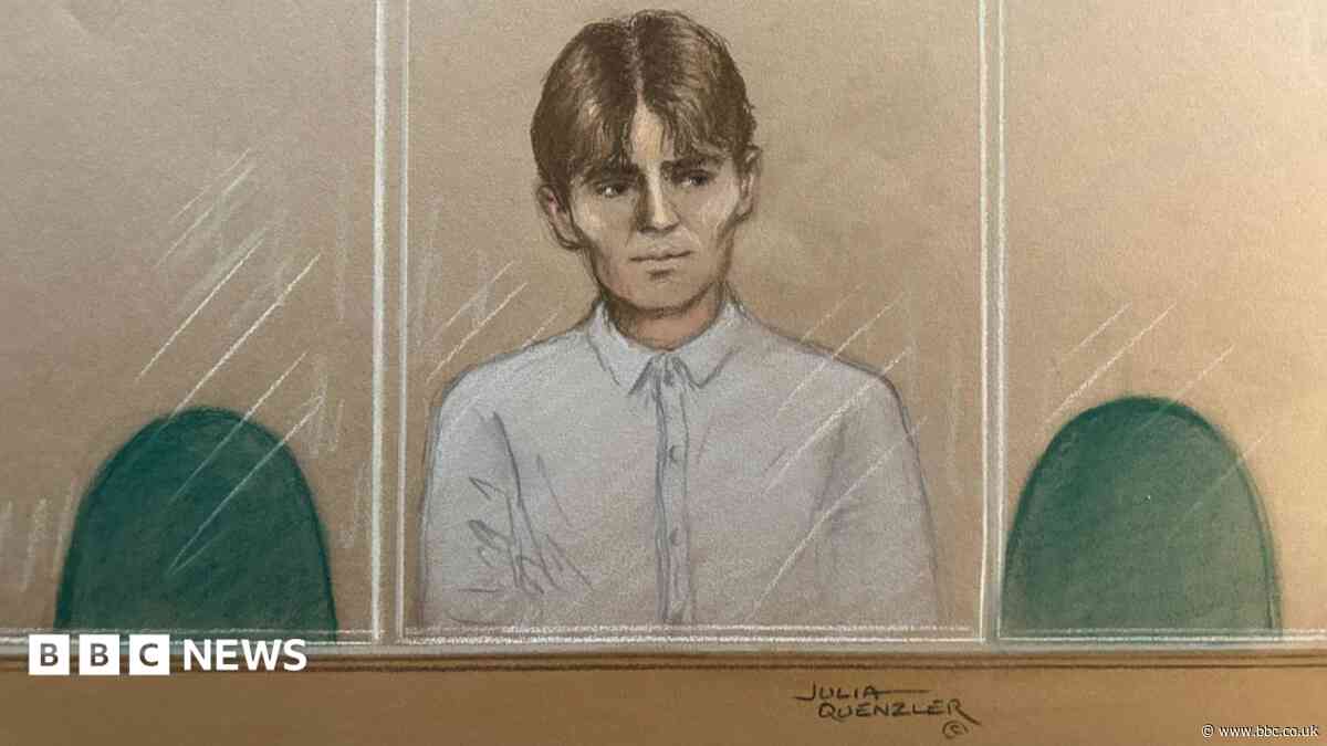 Norway teen flew to UK to carry out 'hit' - court
