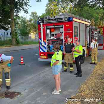 Brandweer en dierenambulance zetten alles op alles voor waterhoentjes in rioolput Reeweg
