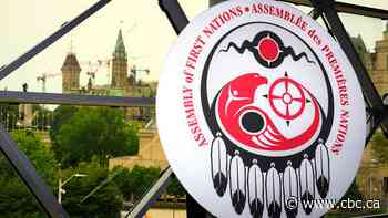 Assembly of First Nations leaders accuse Liberals of playing politics with drinking water bill
