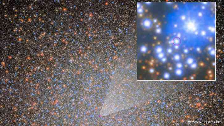 The 1st of 10,000 'missing' black holes in the Omega Centauri star cluster has been found by the Hubble and James Webb space telescopes