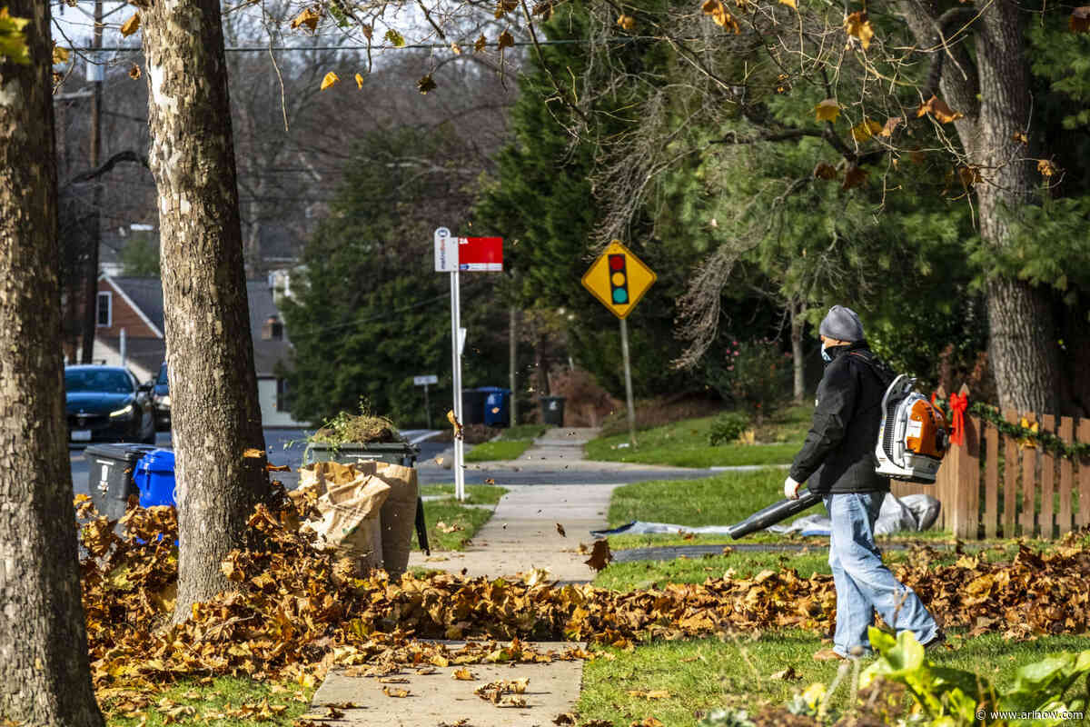 Vote on potential gas-powered leaf blower ban scheduled for this weekend