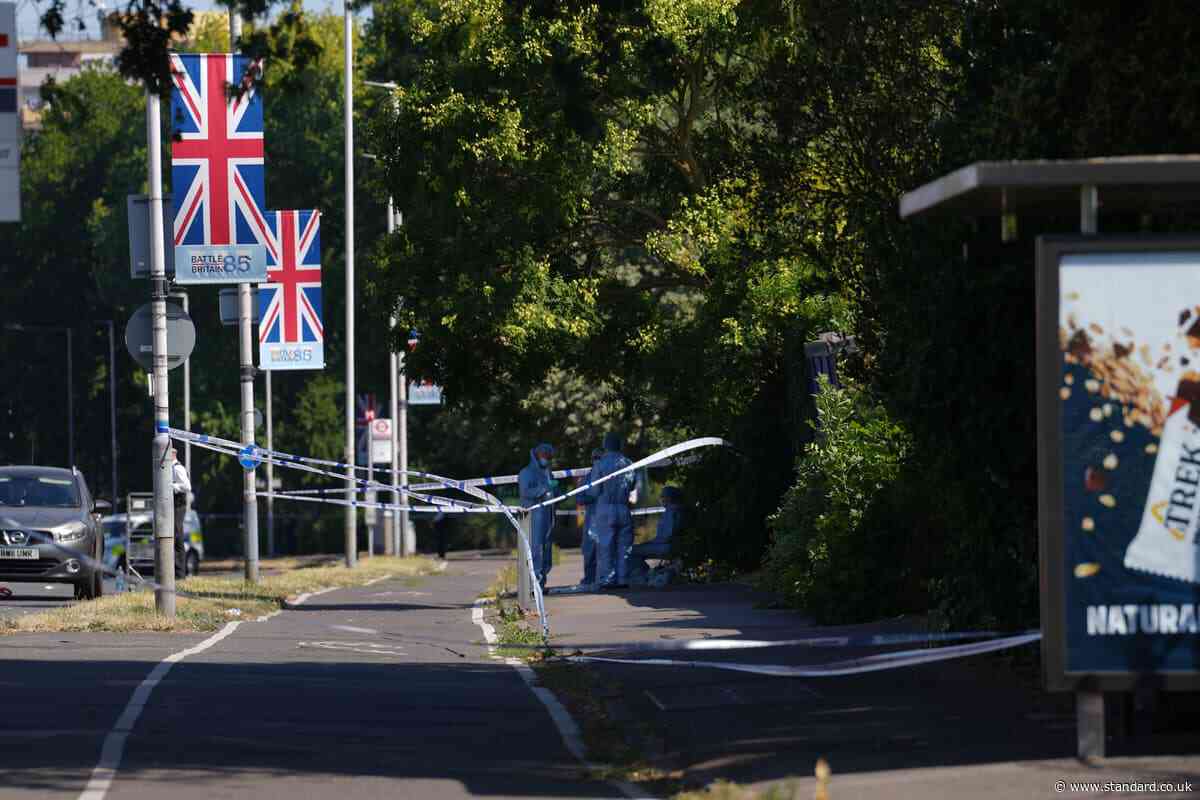 Man charged with murder after young mother fatally stabbed in west London