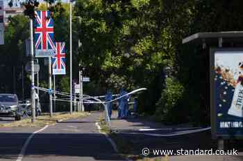 Man charged with murder after young mother fatally stabbed in west London