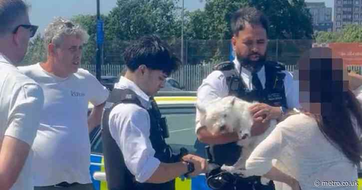 Woman who left dog in car gets well-deserved telling off from police