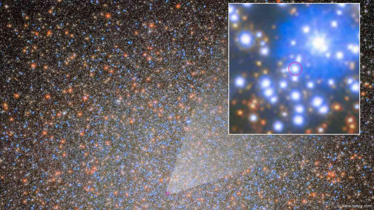 The 1st of 10,000 'missing' black holes in the Omega Centauri star cluster has been found by the Hubble and James Webb space telescopes