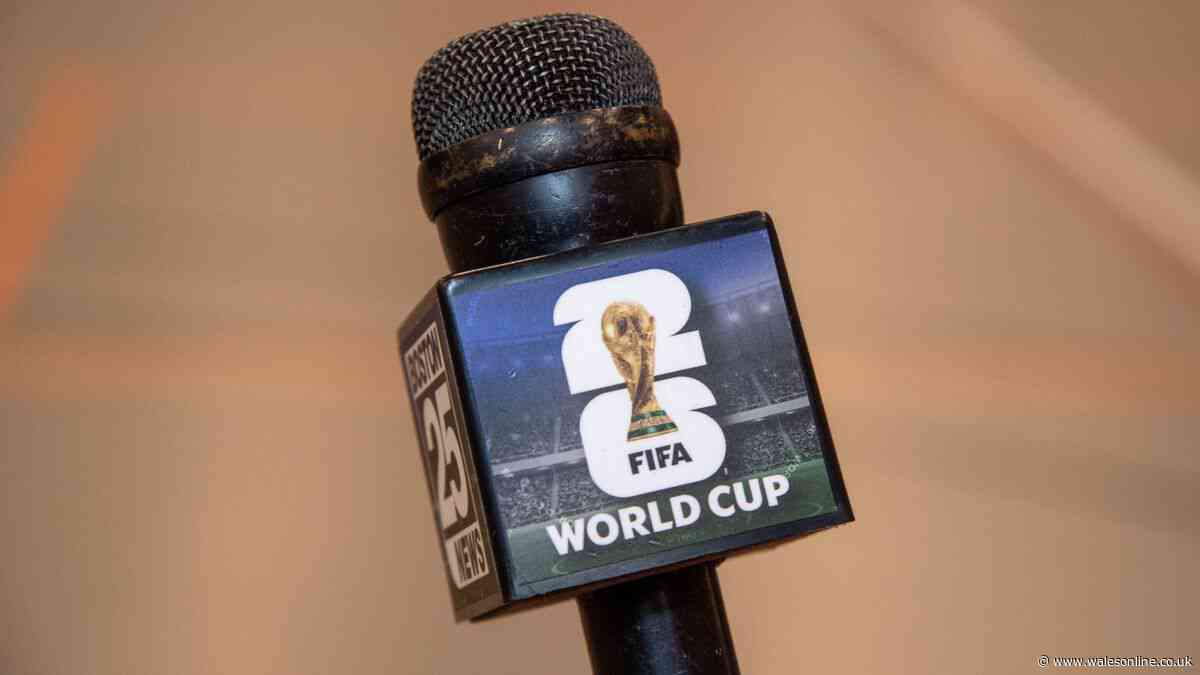 World Cup commentator was kicked off air and sacked on spot midway through match