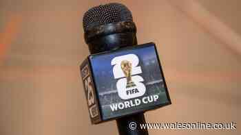 World Cup commentator was kicked off air and sacked on spot midway through match
