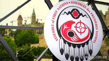 Assembly of First Nations leaders accuse Liberals of playing politics with drinking water bill