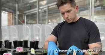 Better fungi understanding could help cut Aussie farmers fert, spray bills