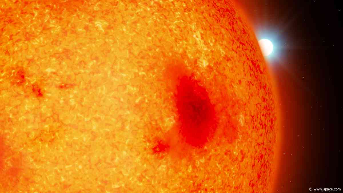 Scientists spot 4 superdense stellar corpses hiding behind their red dwarf companions